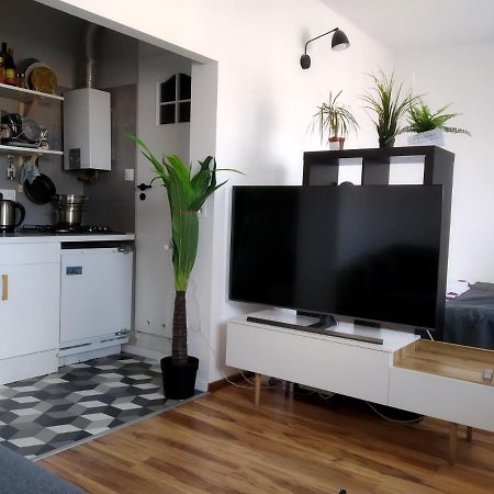 Apartament Mazowiecka 125 克拉科夫 外观 照片